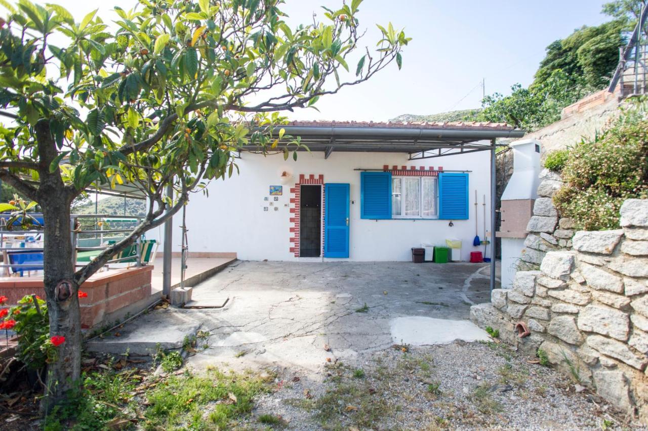 Villa La Terrazza Sul Mare - Goelba Fetovaia Exteriér fotografie